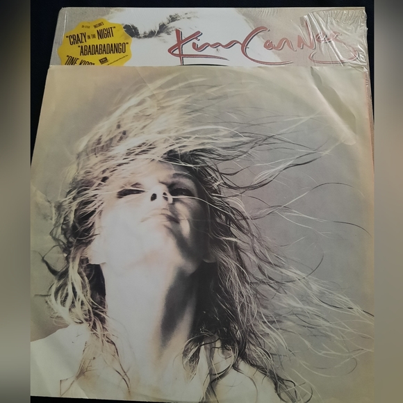 Kim Carnes- Barking At Airplanes, Vinyl LP 1985 - Picture 5 of 8